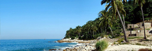 Disfruta México Tropical Disfruta México Tropical
