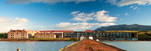 PATAGONIA AL ESTILO THE SINGULAR PATAGONIA AL ESTILO THE SINGULAR