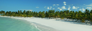 Punta Cana Punta Cana