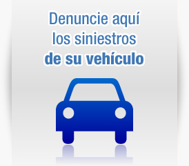 Denunciar Siniestros de Veh�culos